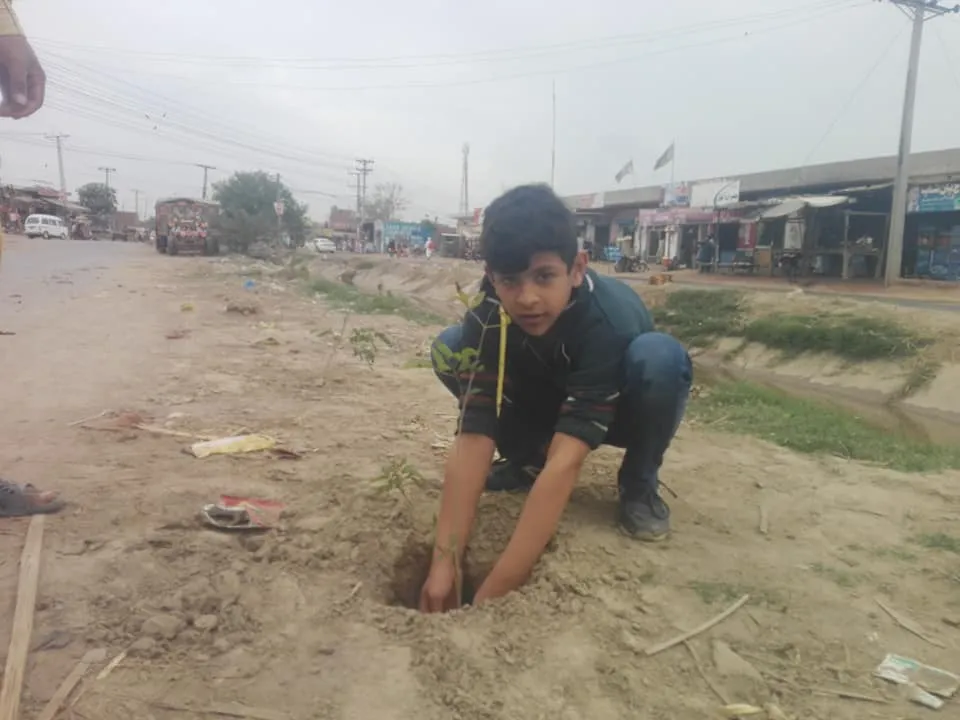 Green Seekers Activity